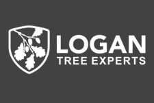 Logo for Logan Tree Experts Logo for Logan Tree Experts