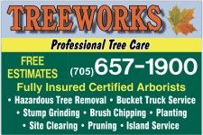 Logo for TREEWORKS Logo for TREEWORKS