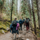 guided nature walk on a Kawartha Lakes hiking trail