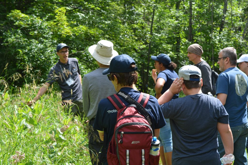 Guide pointing out a plant on a connecting with nature walk, part of the Passport to Nature program in the Kawartha Lakes