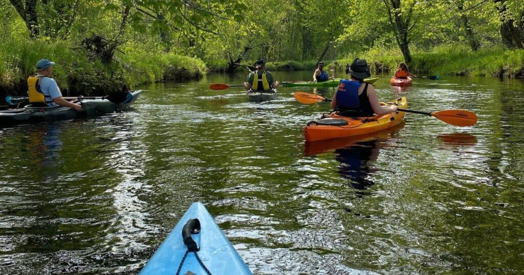 guided river kayaking tour on the burnt river in Kawartha Lakes area in Ontario
