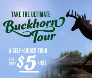 Things to do in Buckhorn, Ontario | Call of the Kawarthas